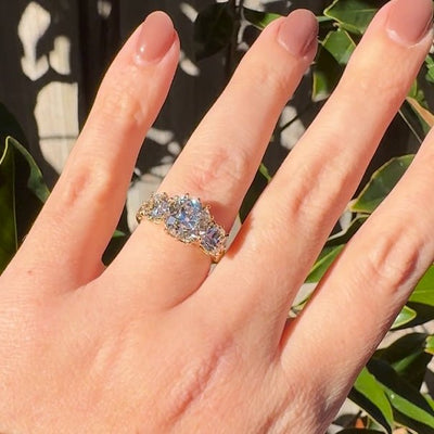 Absolutely Breathtaking—Can't Stop Staring