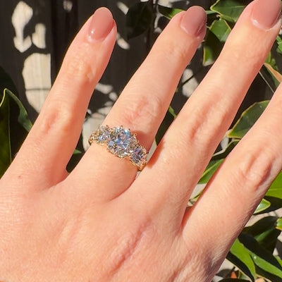 Absolutely Breathtaking—Can't Stop Staring